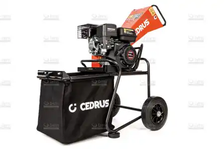 cedrb01c-06_18066.jpg