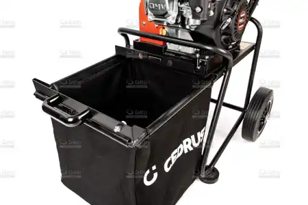 cedrb01c-13_18073.jpg