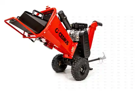 cedrb02pro-01_15224.jpg