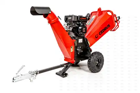 cedrb02pro-05_15228.jpg