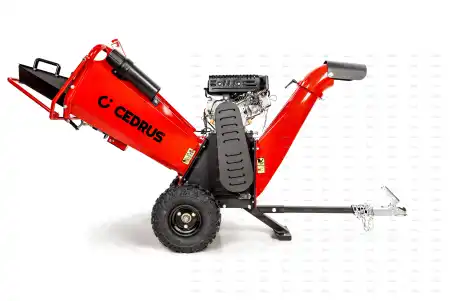 cedrb02pro-08_15231.jpg