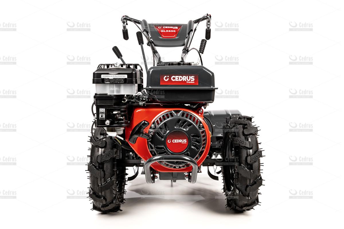 cedrusglx650-02_18343.jpg